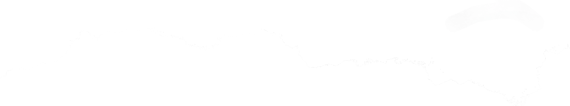 Abstract black and white ink texture.